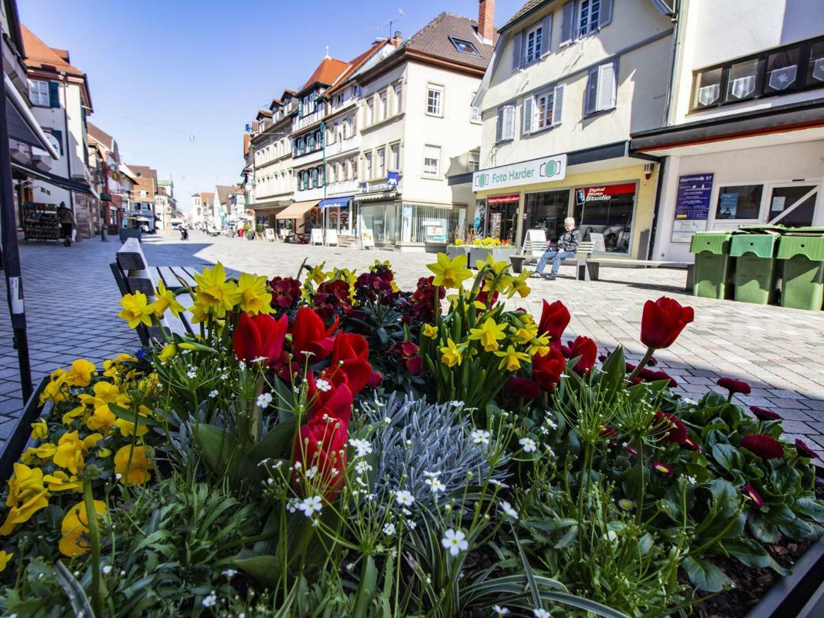 Ferienwohnung Innenstadt Oberkirch  Esterno foto